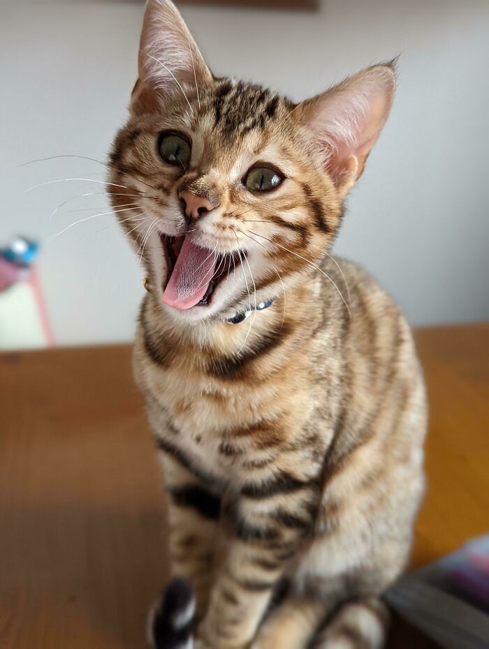 A Present From My In-Laws To My Daughters