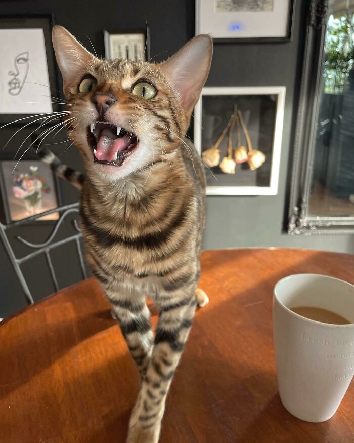 She Always Has Something To Say