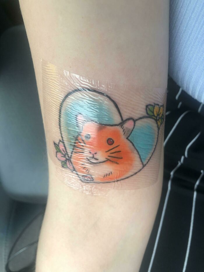 Pet tattoo of a cute orange hamster with flowers, wrapped in plastic for protection.