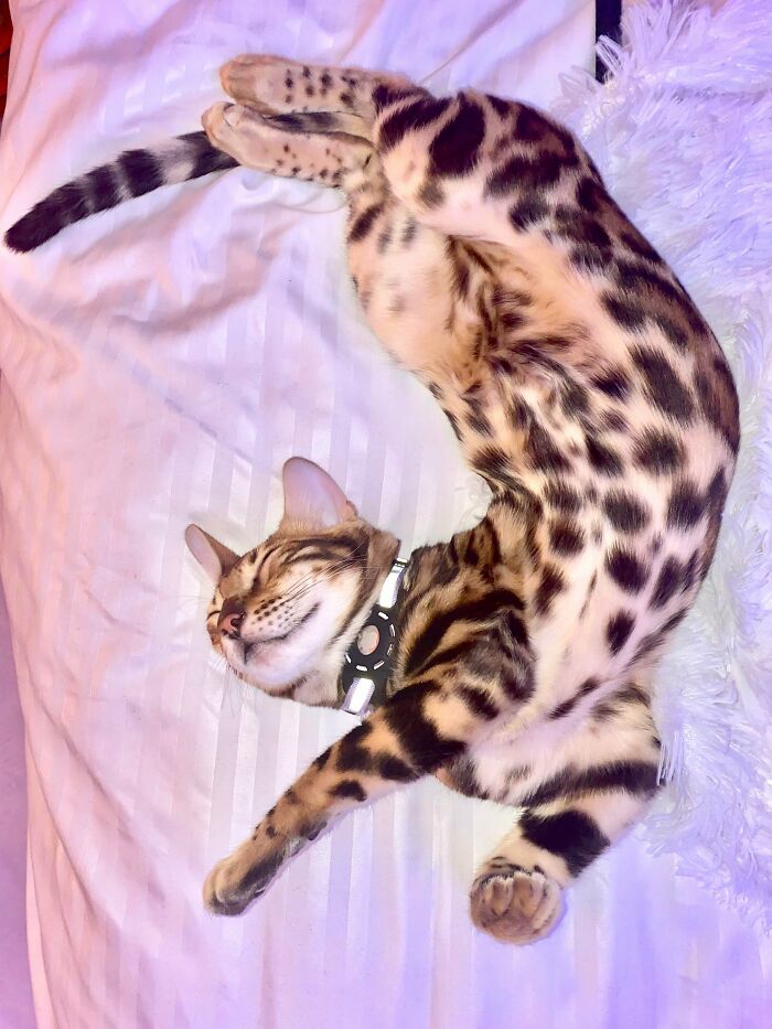 I Just Had To Share The Cuteness