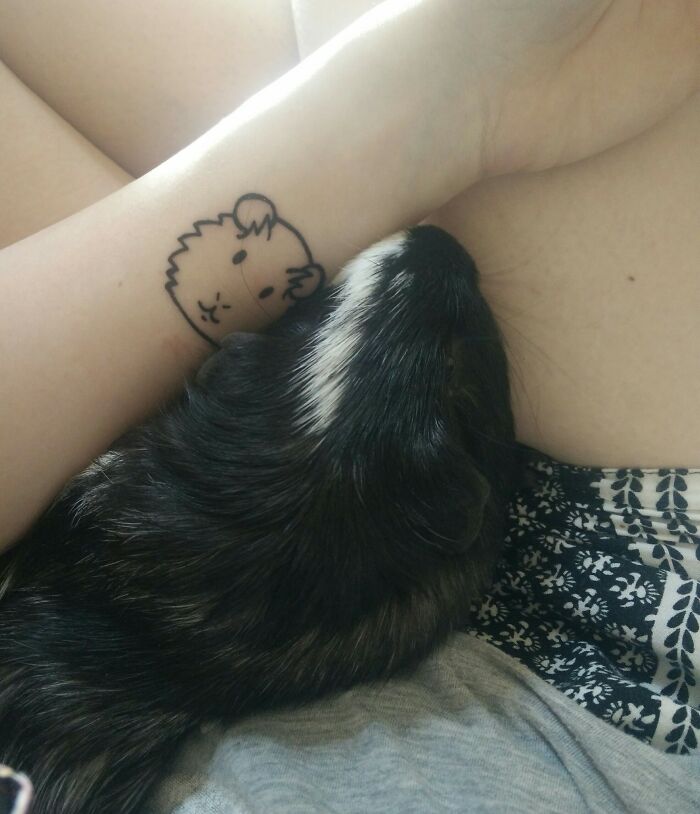 Tattoo of a pet on a person's arm, with a guinea pig resting nearby.