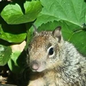 danimarie0630 avatar