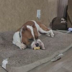 ryebread291685 avatar