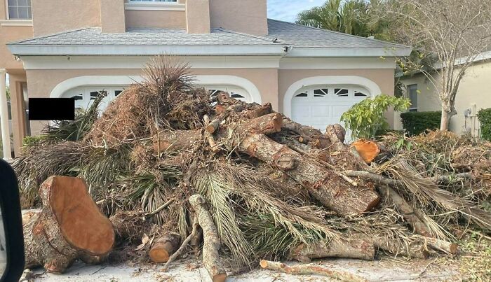 My Neighbor “Allegedly” Refused To Pay The Guy Who Cleared His Back Yard. He’ll Be Coming Home To This Gift Left In His Driveway