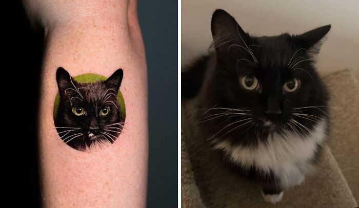 Black cat tattoo on arm beside photo of the same cat, symbolizing connection to furry friends.