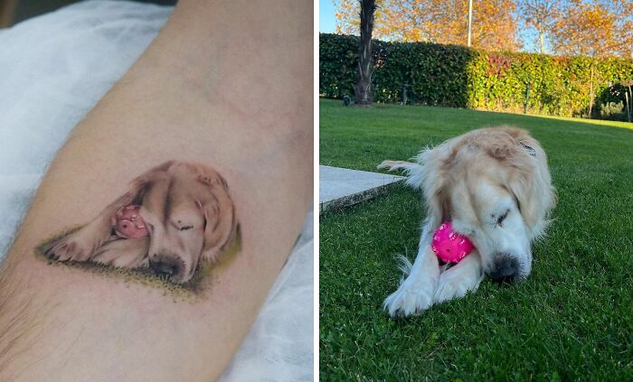 Pet tattoos of a dog with a pink ball, highlighting love for furry friends.