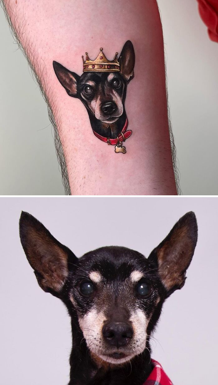 Pet tattoo of a dog with a crown, celebrating the bond between humans and their pets, alongside the real dog in a red collar.
