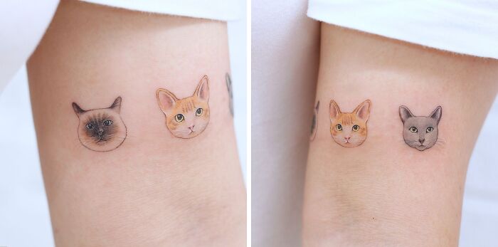 Pet tattoos featuring cute cat faces on skin, symbolizing the bond between humans and their pets.