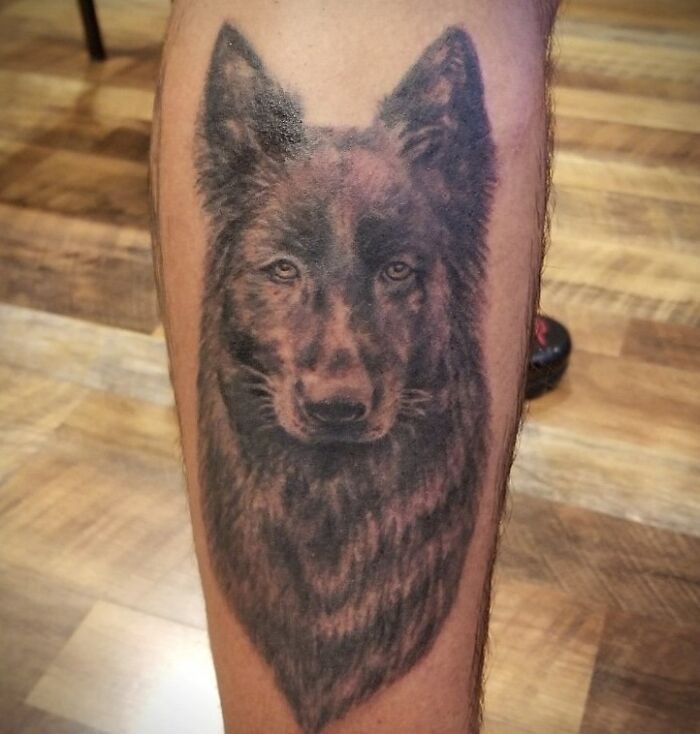 Realistic pet tattoo of a wolf on a person's leg, highlighting beautiful pet tattoos.