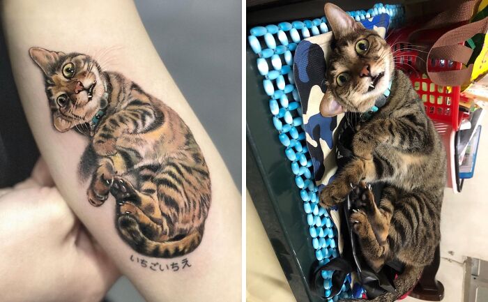 Pet tattoo of a playful tabby cat on an arm, celebrating the bond with a real cat in a similar pose.