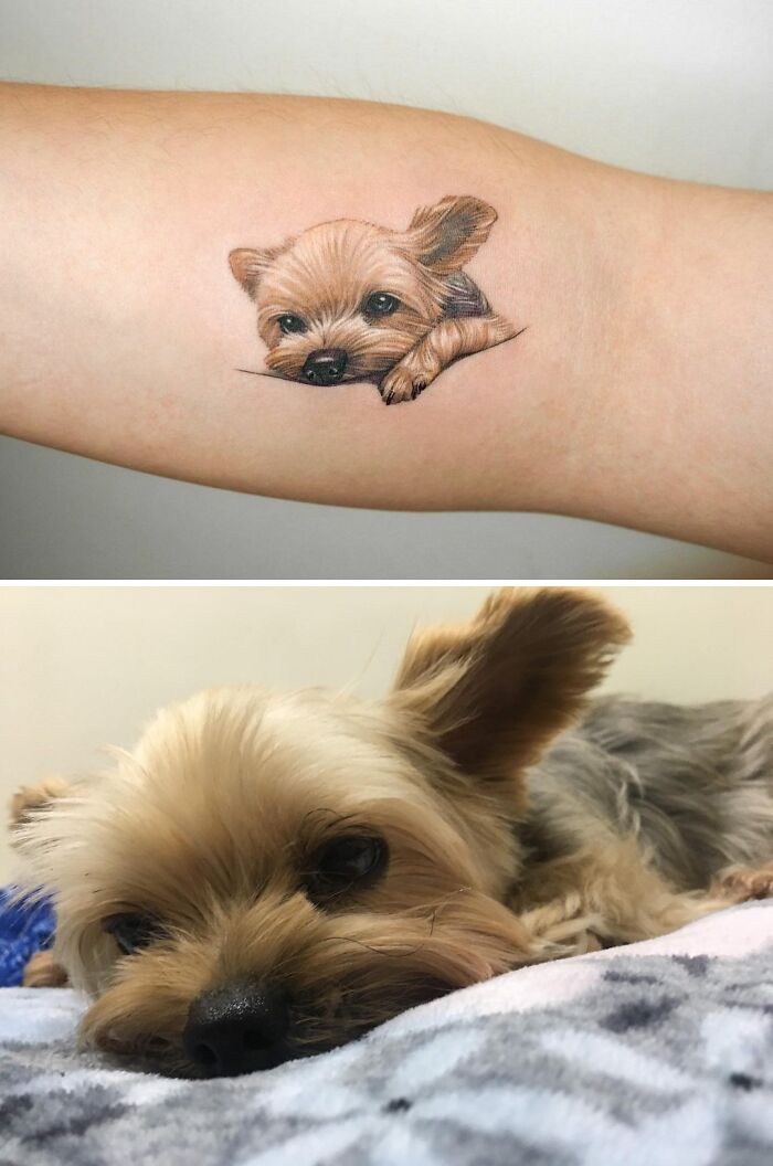 Tattoo of a small dog on an arm, resembling a realistic pet portrait, celebrating human-pet bond.