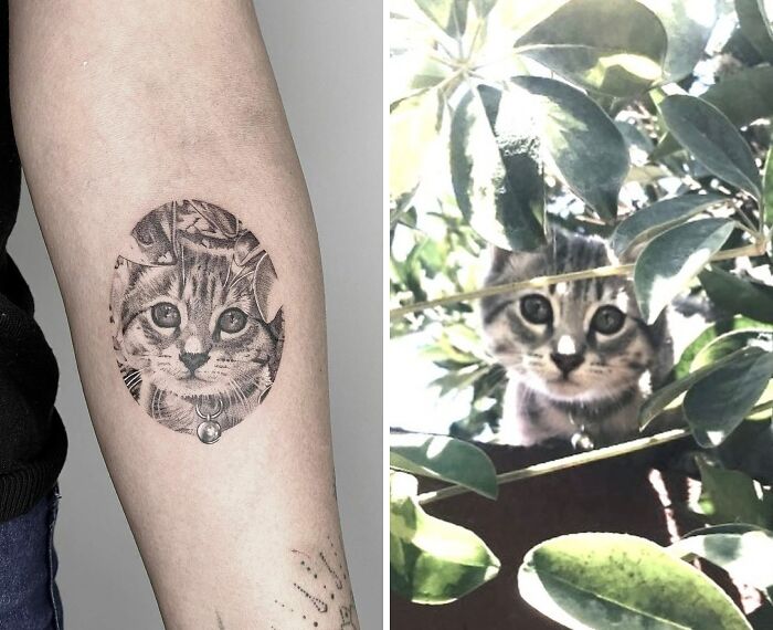 Pet tattoo featuring a cat with big eyes on an arm, next to a photo of the same cat peeking through leaves.