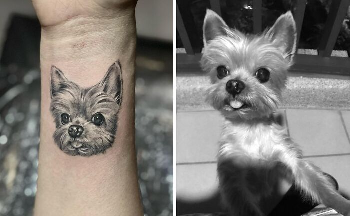 Pet tattoo of a small dog on a person's wrist, next to a photo of the same adorable pet.