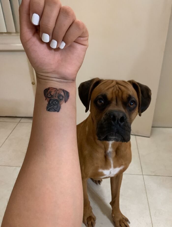Pet tattoos: A person showing a dog tattoo on their wrist, with a matching brown dog sitting in the background.