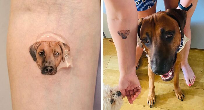 Dog tattoo on arm next to the pet dog, symbolizing the bond between humans and their pets.
