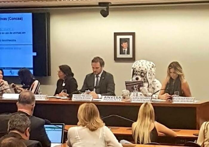 Custom Character In The Commitee On Environment And Sustainable Development