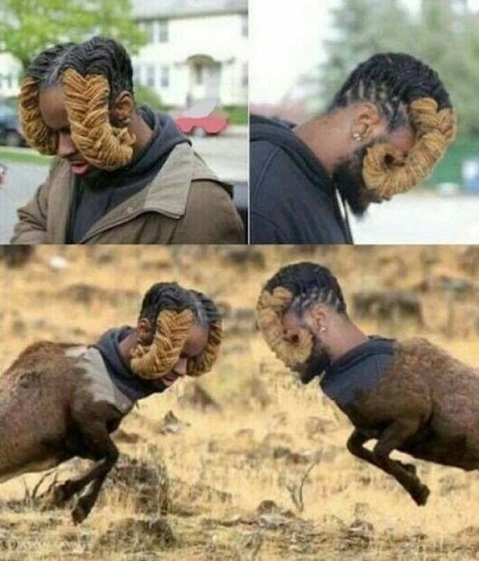 Creative bad haircut with curled design resembling ram horns, pictured in both person and digitally altered animal form.