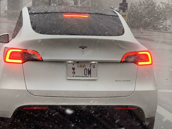 I Saw My Favorite Purple Heart License Plate