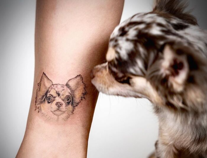 Pet tattoo of a dog's face on a person's leg, with a similar dog sniffing the tattoo.