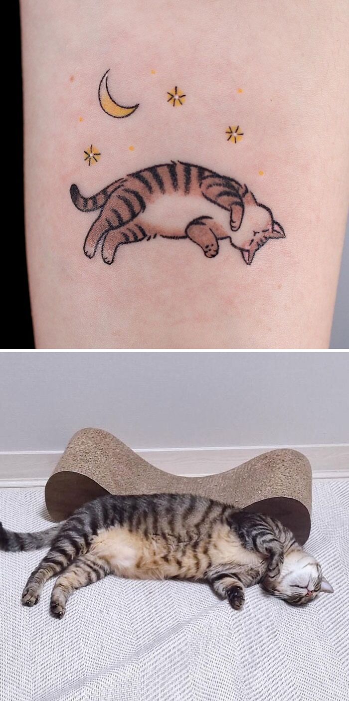 Cat tattoo with crescent moon and stars above a sleeping tabby cat, capturing creative animal tattoo ideas.