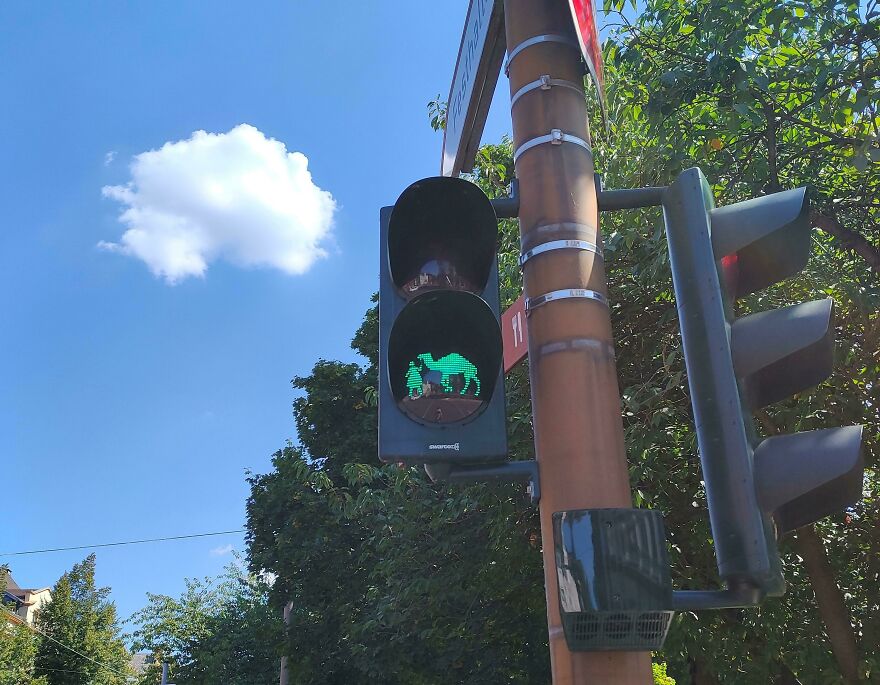 This Traffic Light In Germany Has A Little Girl And A Camel As Signal Lights This Traffic Light In Germany Has A Little Girl And A Camel As Signal Lights