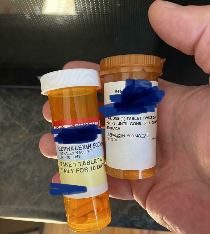 My Dog And I Are Taking The Same Medication