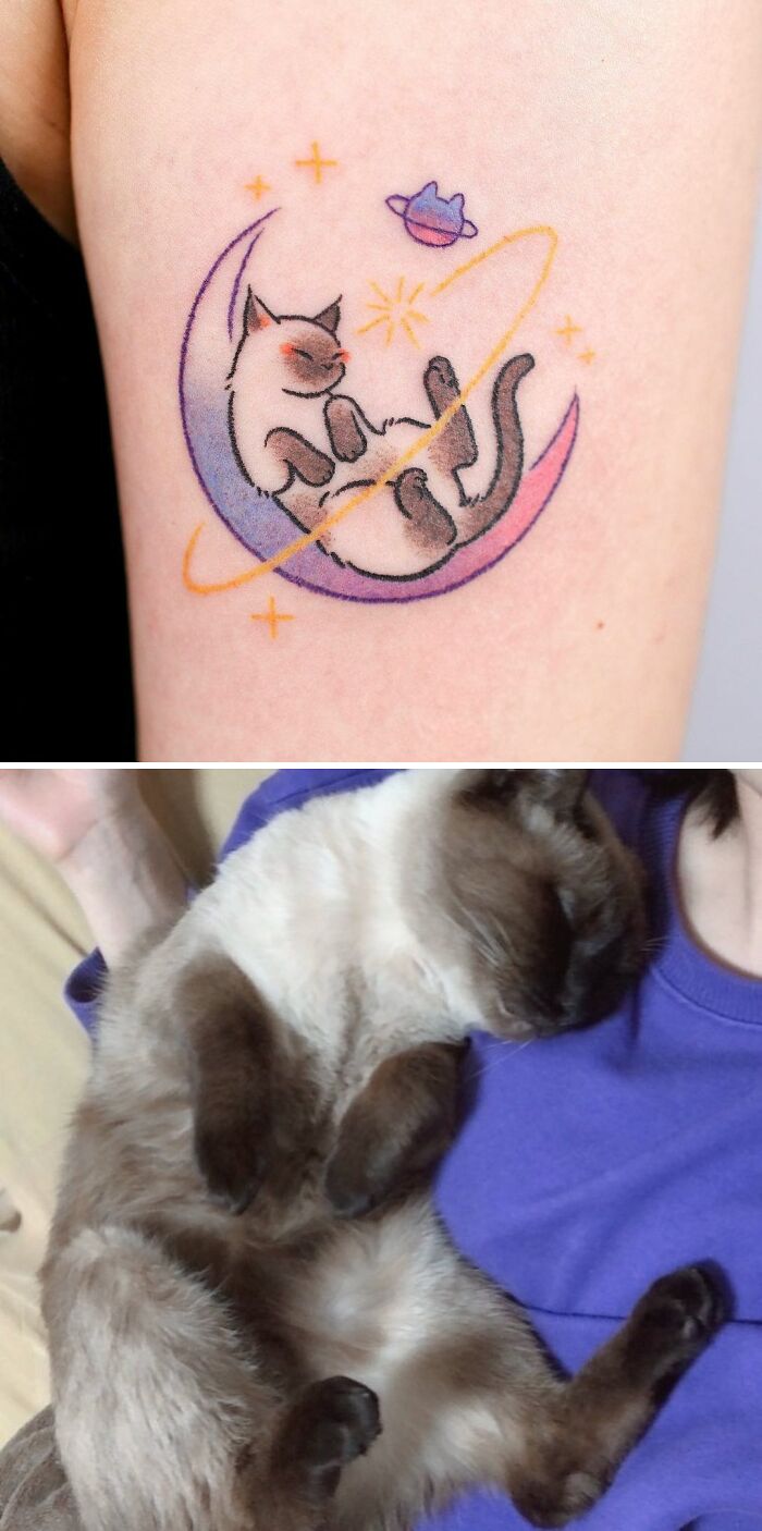 Pet tattoo of a cat on a crescent moon next to a photo of a similar sleeping cat, celebrating furry friends.