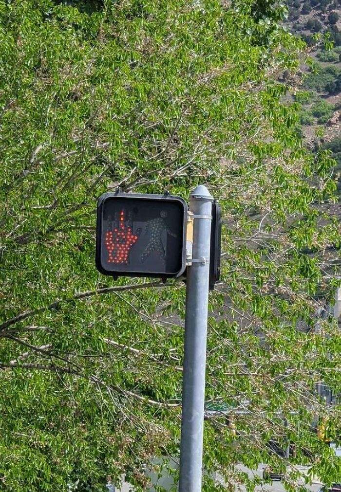 Esto es algo único en la vida