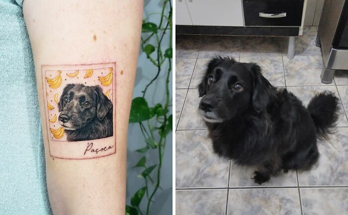 Pet tattoo of a black dog on an arm, showcasing love for furry friends, next to a photo of the dog at home.