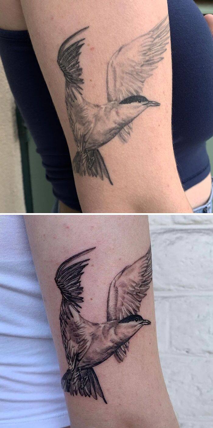 Realistic bird tattoo on forearm, showcasing simplicity and detail.