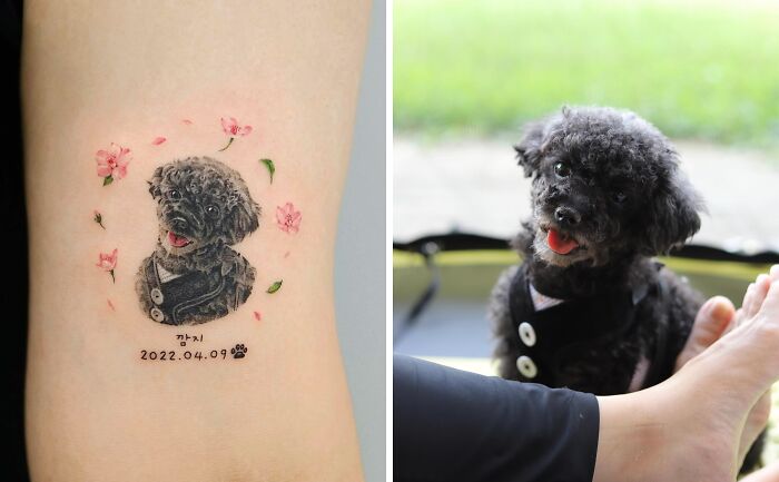 Pet tattoo beside a real black dog in a sweater, showcasing the bond between humans and their pets.