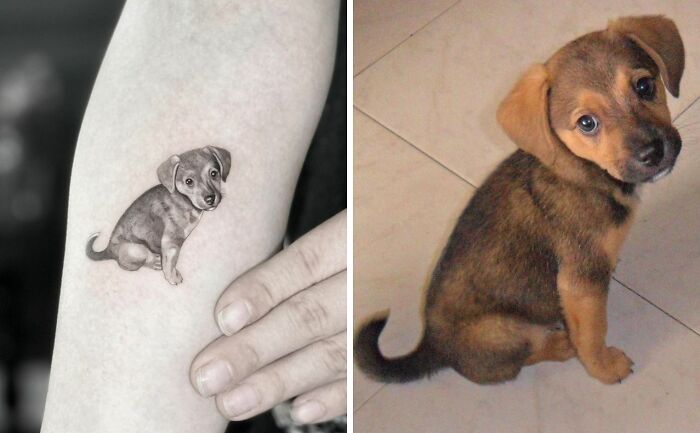 Pet tattoo of a puppy on forearm next to photo of the adorable dog.
