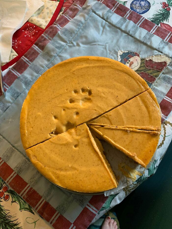 So I Made My First Pumpkin Cheesecake. My Kitten Decided To Jump Up And Check It Out. Kitten Tax Included