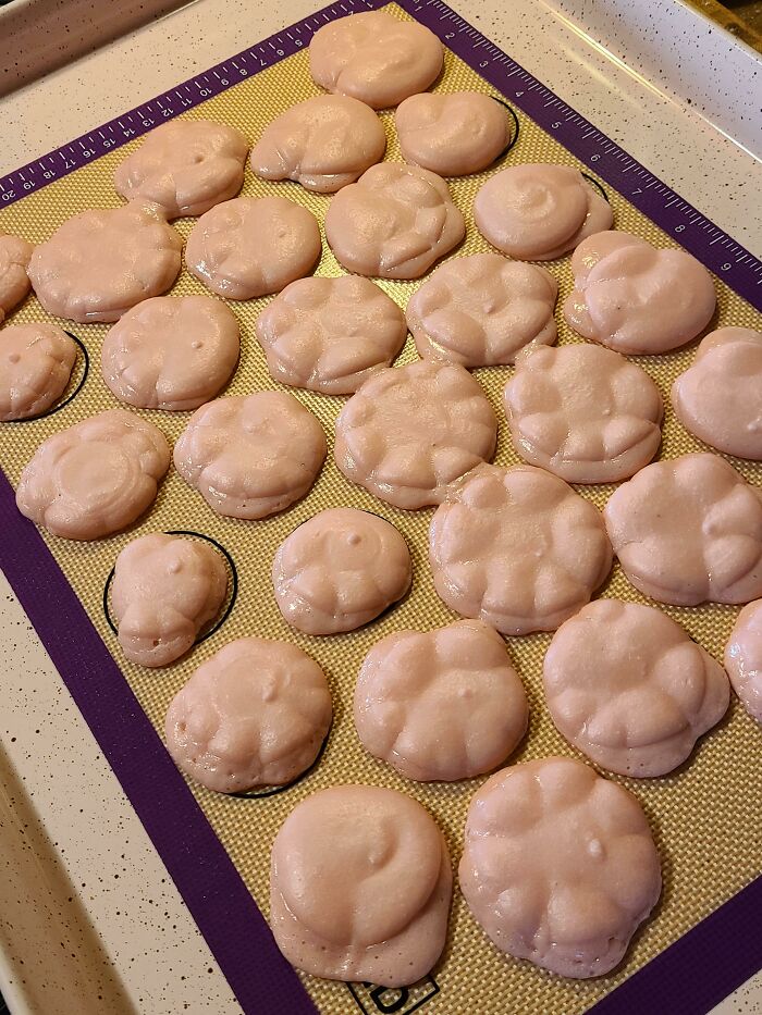 Obviously These Macarons Are Utter Perfection 