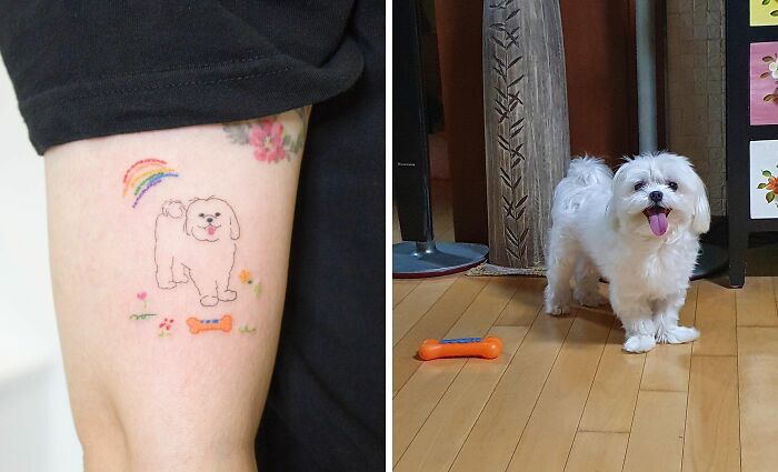Pet tattoos depicting a cute dog with a rainbow, matched by a small white dog standing by a toy on the floor.