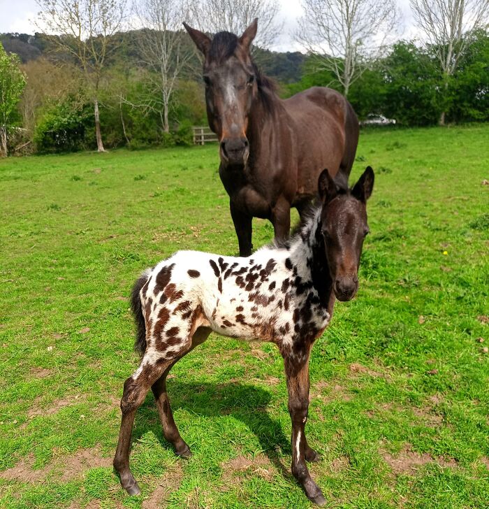 3rd Day In The World