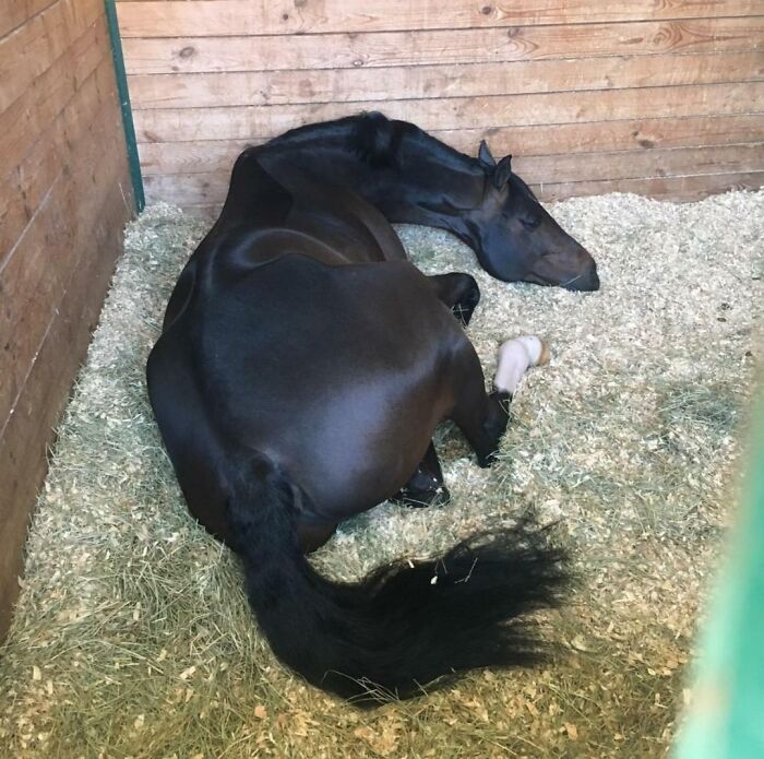 Be Quiet. The Dragon Is Sleeping