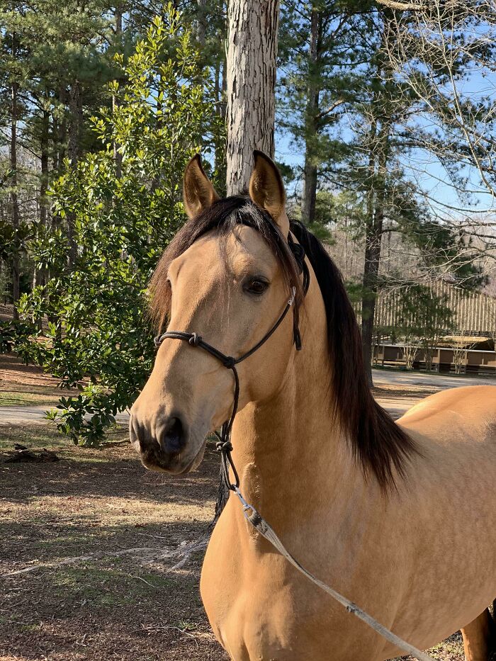 My Wife’s Favorite Shot Of Rayito