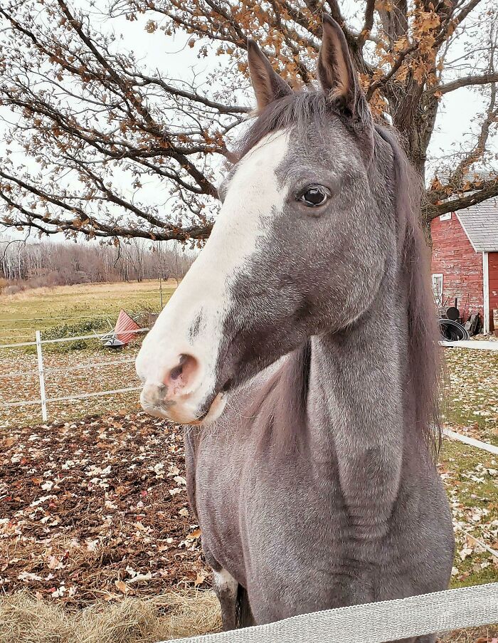 My Pretty Girl On A Pretty Fall Day