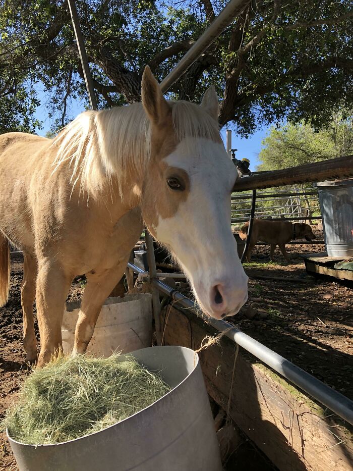 Just Got A Surprise Birthday Present