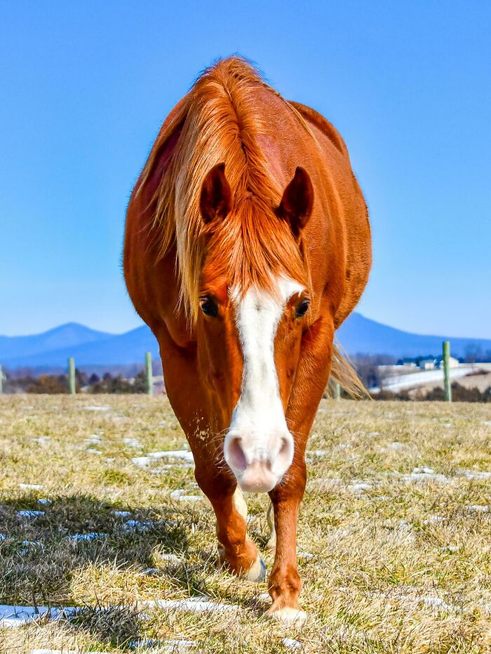 Huck Enjoying This Bitter Cold Day Before Spring Turns Our Corner