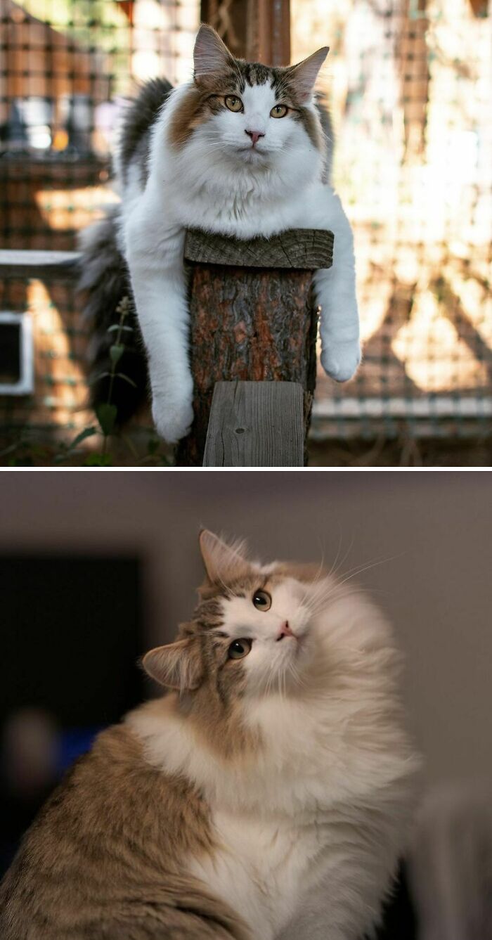 That's My Favorite Position