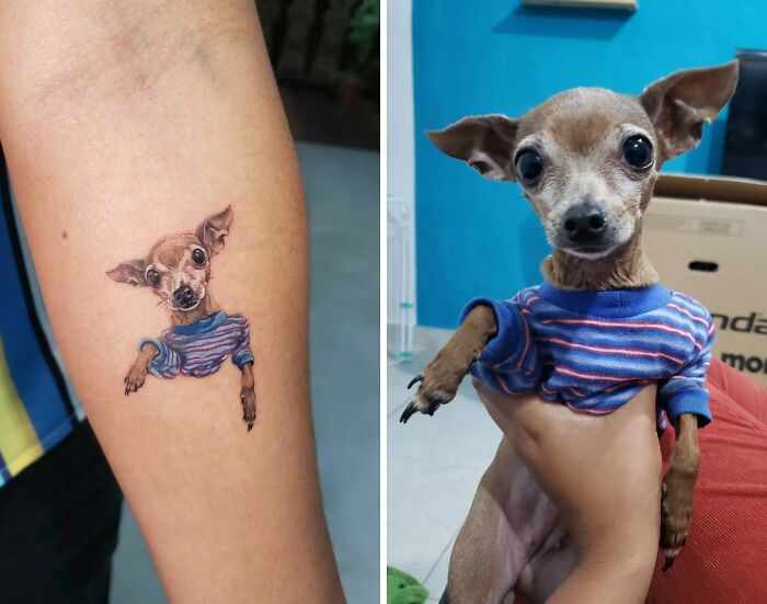 Pet tattoo of a small dog in a striped sweater, beside the real dog wearing the same outfit, celebrating furry friends.