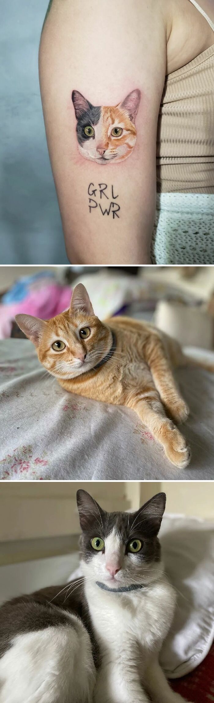 Tattoo of a cat's face on an arm with "GRL PWR" text, showcasing adorable pet tattoos.