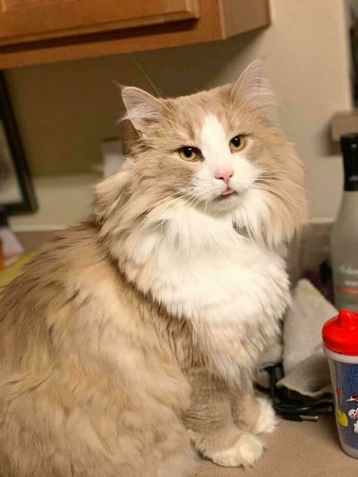 My Baby Survived Being Blocked Two Times! Finally Fully Back To Normal