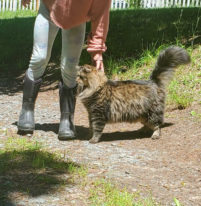 A Noble Beast And His Peasant