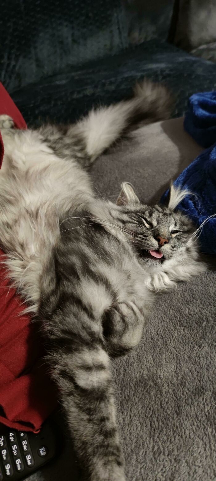 Dreaming About Food For Sure