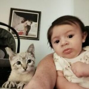 katballou1214 avatar