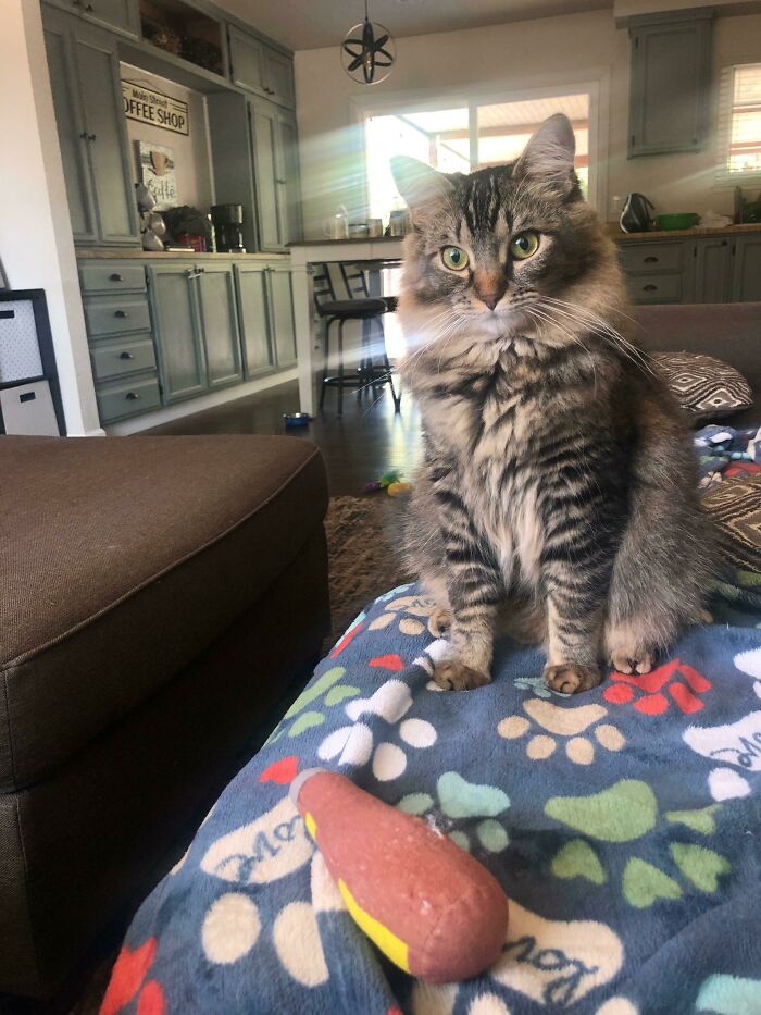 He Brings Me His Bottle Daily For Me To “Keep”