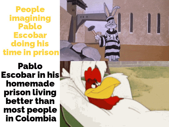 Should Have Seen That Coming